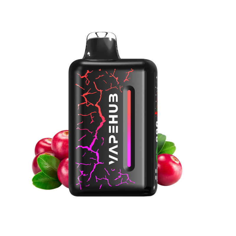 midnight berry chill – vapehub ultra 20000